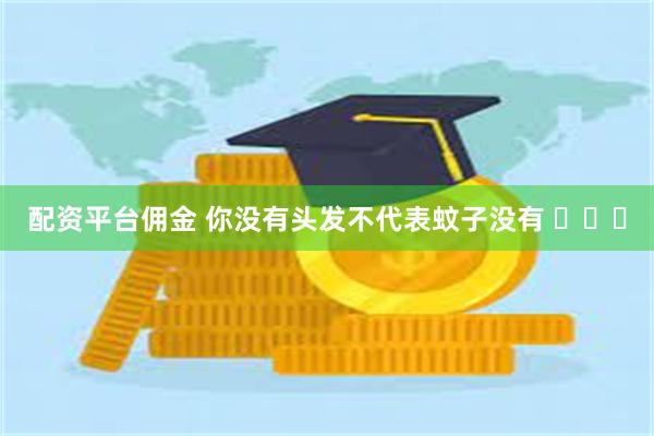 配资平台佣金 你没有头发不代表蚊子没有 ​​​