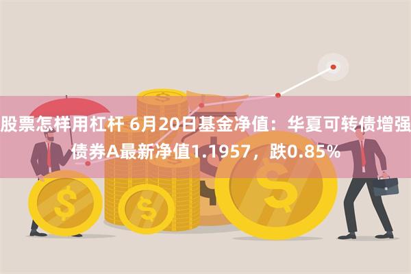 股票怎样用杠杆 6月20日基金净值：华夏可转债增强债券A最新净值1.1957，跌0.85%