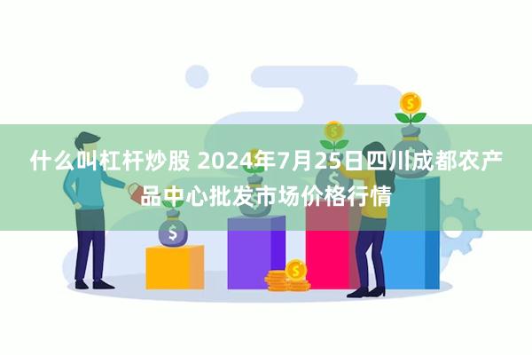 什么叫杠杆炒股 2024年7月25日四川成都农产品中心批发市场价格行情