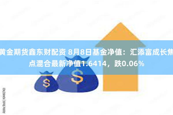 黄金期货鑫东财配资 8月8日基金净值：汇添富成长焦点混合最新净值1.6414，跌0.06%