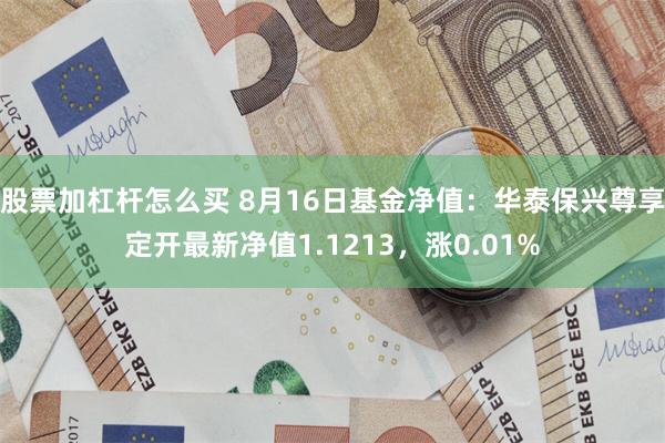 股票加杠杆怎么买 8月16日基金净值：华泰保兴尊享定开最新净值1.1213，涨0.01%