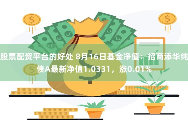 股票配资平台的好处 8月16日基金净值：招商添华纯债A最新净值1.0331，涨0.01%