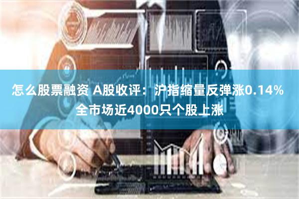 怎么股票融资 A股收评：沪指缩量反弹涨0.14% 全市场近4000只个股上涨