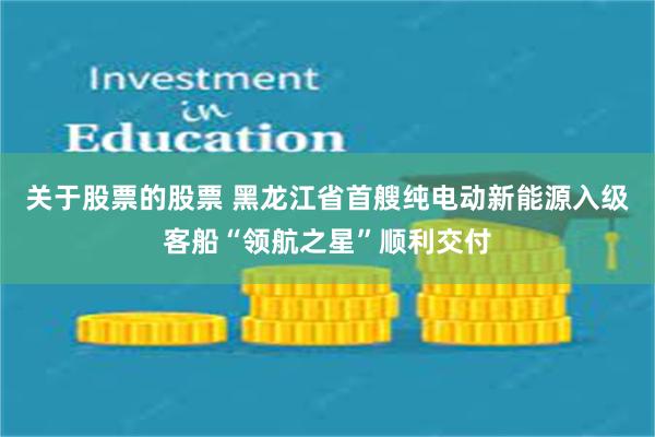 关于股票的股票 黑龙江省首艘纯电动新能源入级客船“领航之星”顺利交付