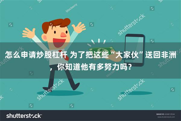 怎么申请炒股杠杆 为了把这些“大家伙”送回非洲，你知道他有多努力吗？