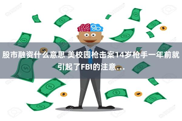 股市融资什么意思 美校园枪击案14岁枪手一年前就引起了FBI的注意…