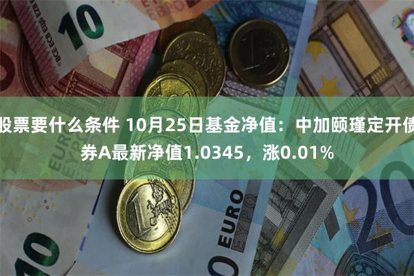 股票要什么条件 10月25日基金净值：中加颐瑾定开债券A最新净值1.0345，涨0.01%