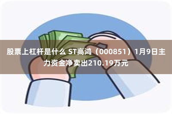 股票上杠杆是什么 ST高鸿（000851）1月9日主力资金净卖出210.19万元