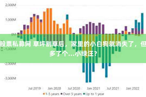 股票私募网 草坪割草后，家里的小白狗就消失了，但多了个...小绿汪？