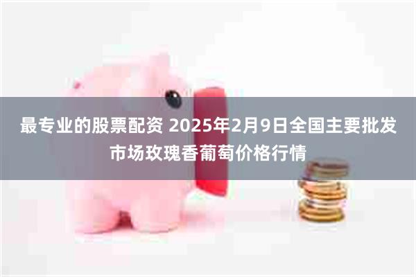 最专业的股票配资 2025年2月9日全国主要批发市场玫瑰香葡萄价格行情