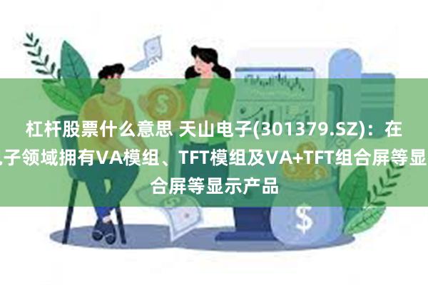 杠杆股票什么意思 天山电子(301379.SZ)：在车载电子领域拥有VA模组、TFT模组及VA+TFT组合屏等显示产品