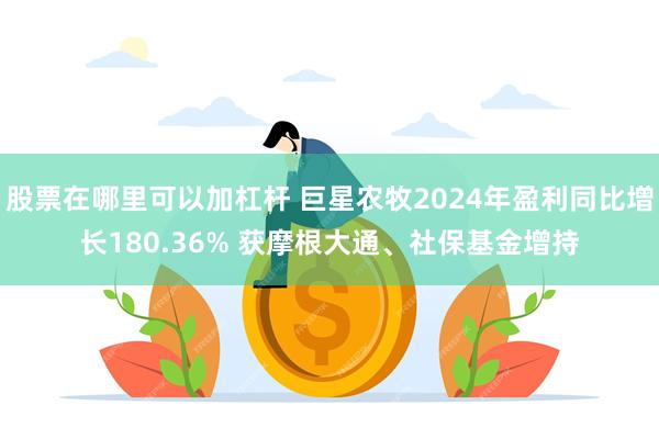 股票在哪里可以加杠杆 巨星农牧2024年盈利同比增长180.36% 获摩根大通、社保基金增持