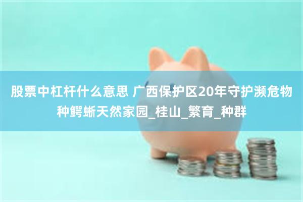 股票中杠杆什么意思 广西保护区20年守护濒危物种鳄蜥天然家园_桂山_繁育_种群