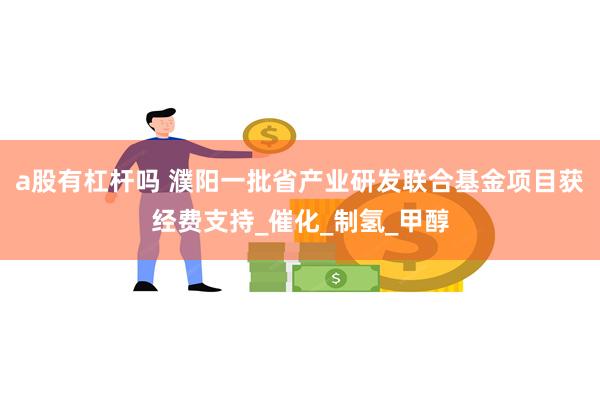 a股有杠杆吗 濮阳一批省产业研发联合基金项目获经费支持_催化_制氢_甲醇